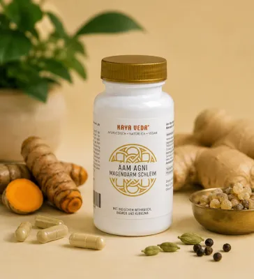KAYA VEDA® Aam Agni | Ayurveda Kapseln für Magen & Darm Balance KAYA VEDA® Aam Agni | Ayurveda Kapseln für Magen & Darm Balance