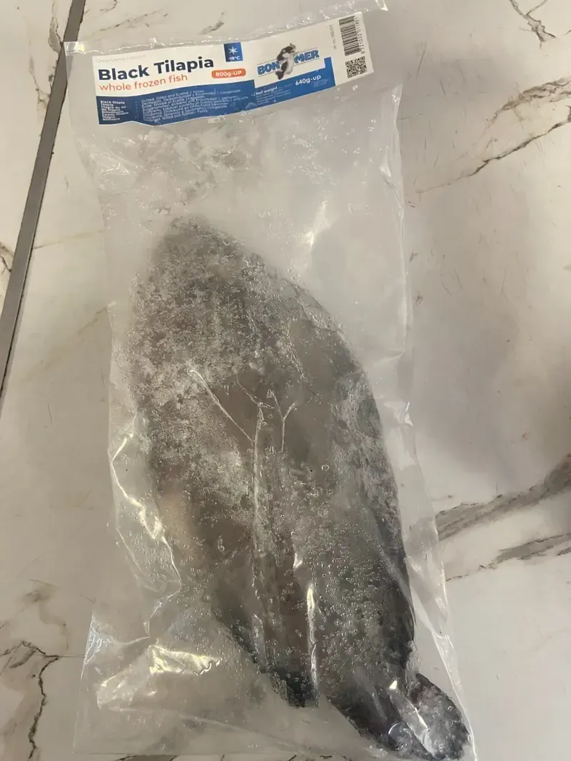 TILAPIA   GRIS
