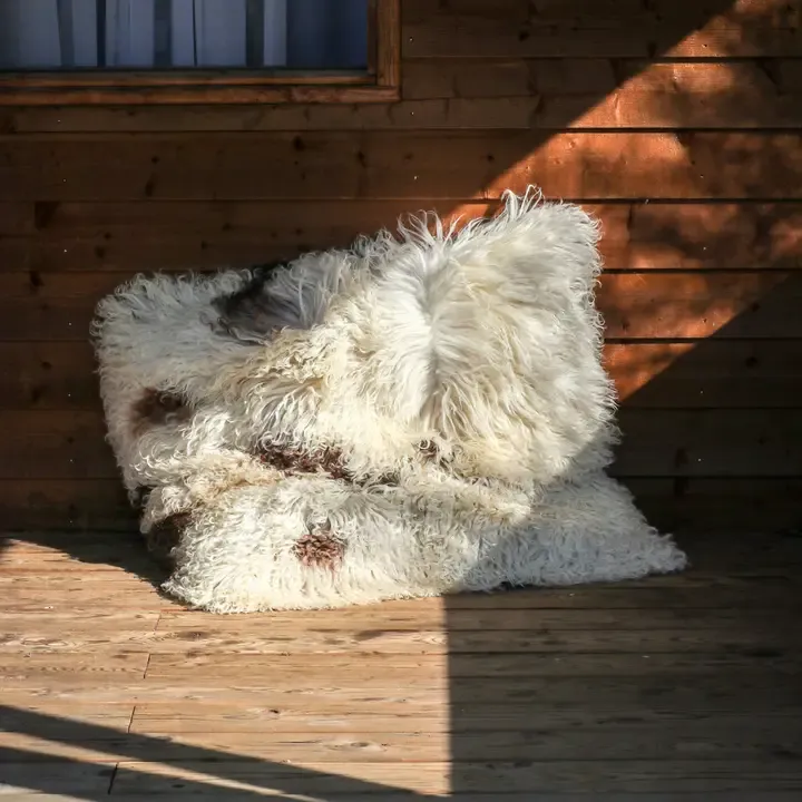 Curly Sheepskin-Style Oversized Cushion | 80 x 80 cm Curly Sheepskin-Style Oversized Cushion | 80 x 80 cm | Oakenora Home