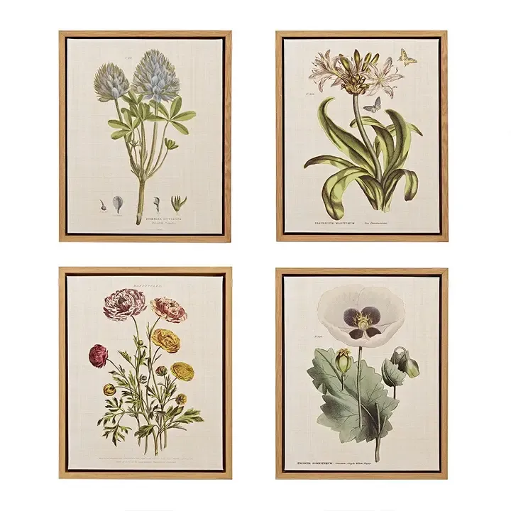 Botanical Framed Canvas Wall Art Set Botanical Framed Canvas Wall Art Set | Oakenora Home