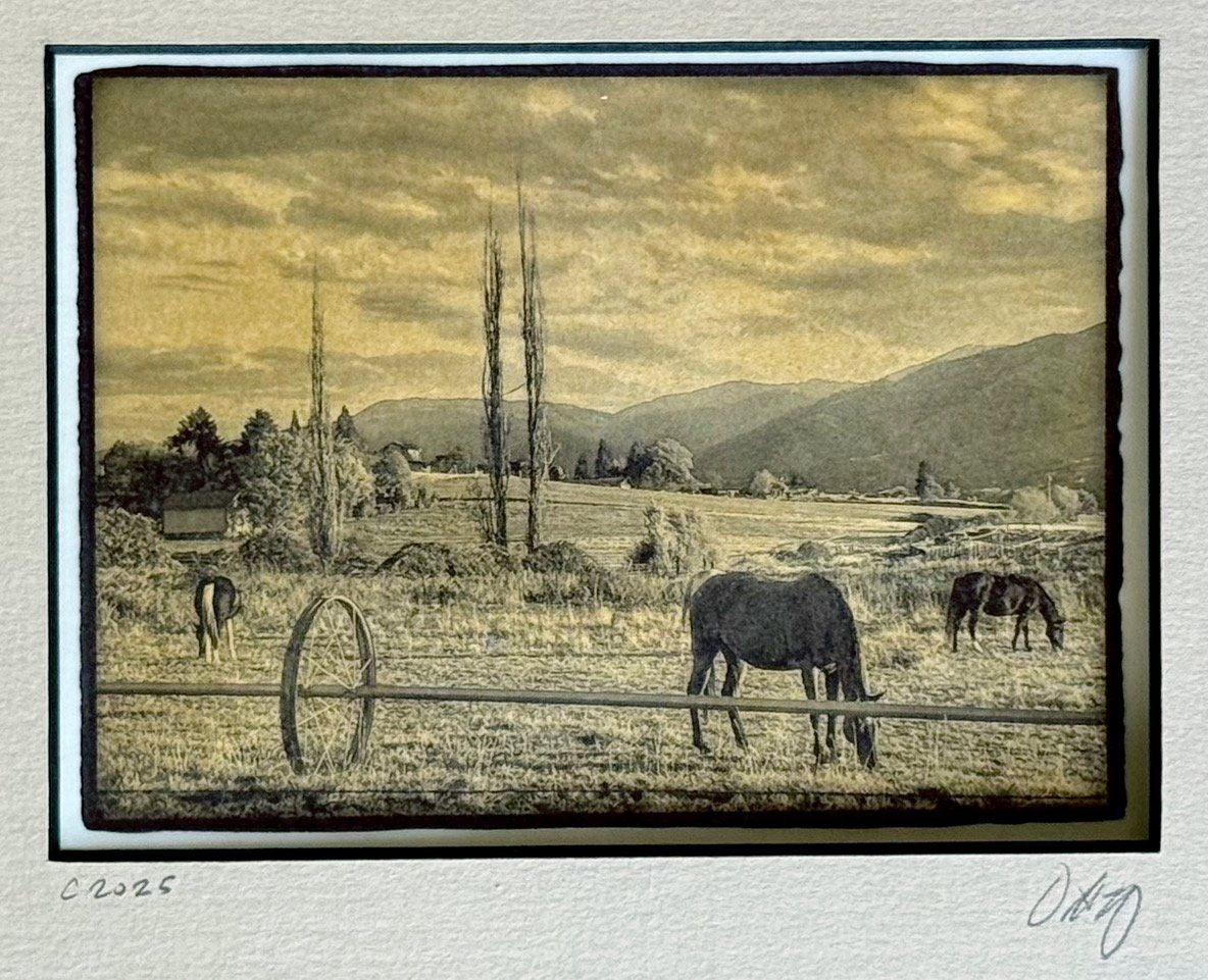 Backroads Tableau