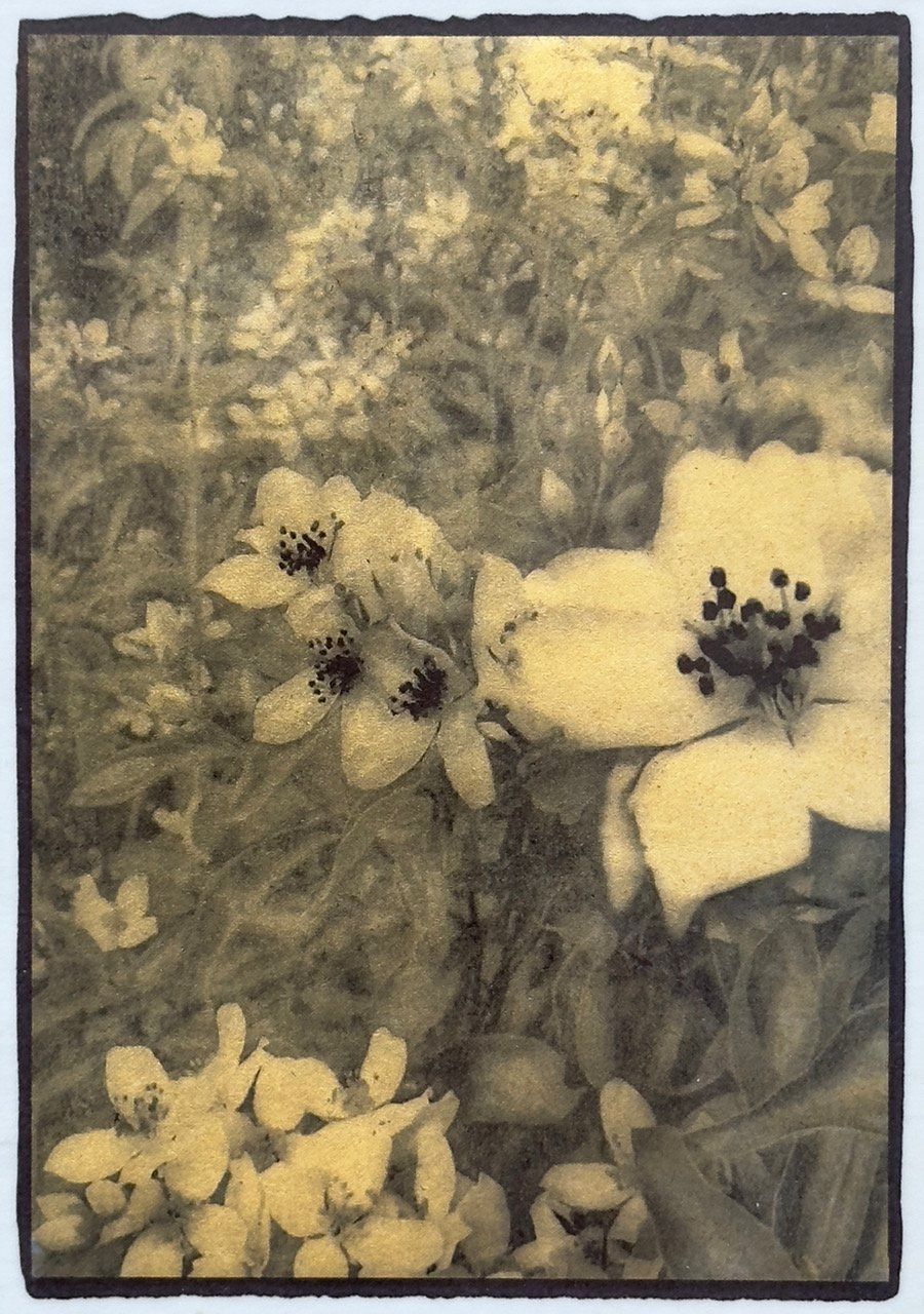 Garden Details