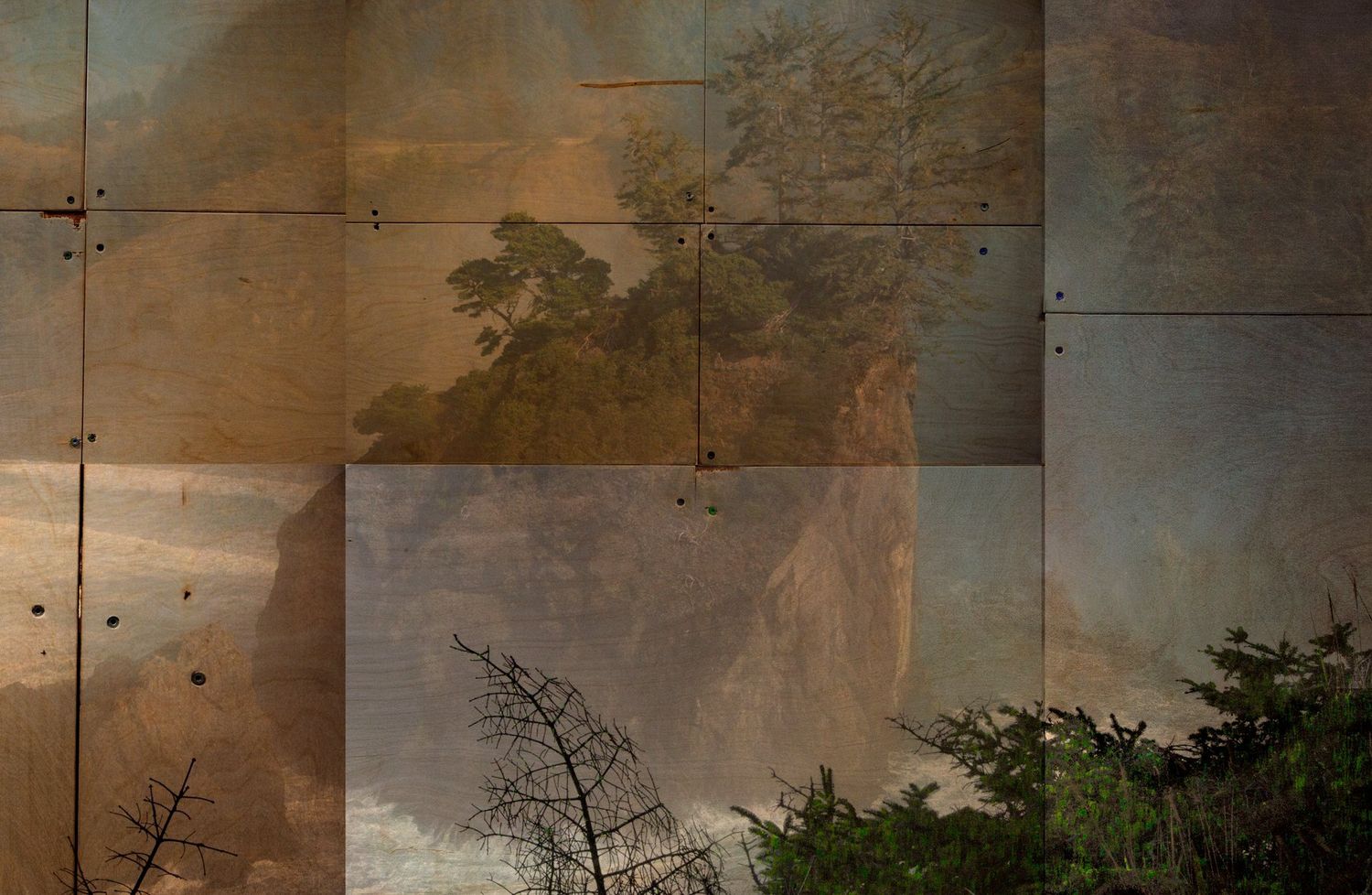 Cascadia: South Coast No. 07 (detail)