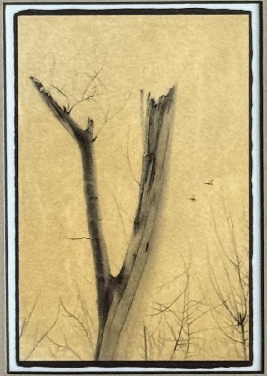 Details, Bear Creek