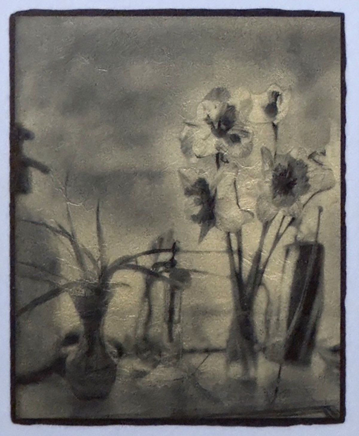 Daffs in the Window