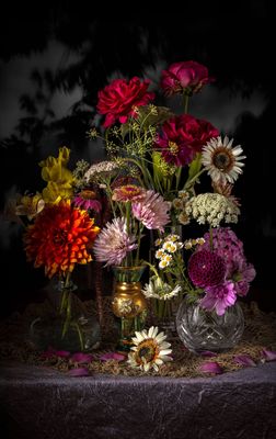 Daisys and Roses