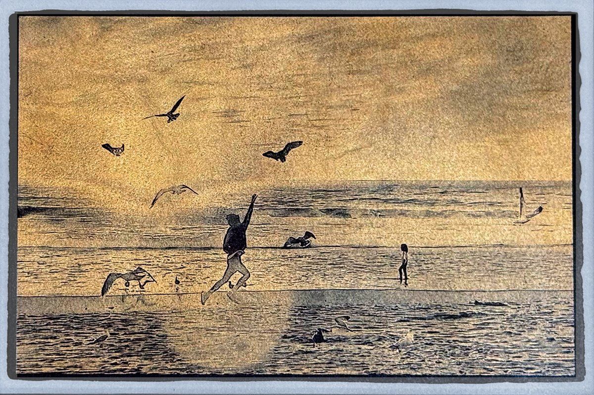 Gulls on Venice Beach