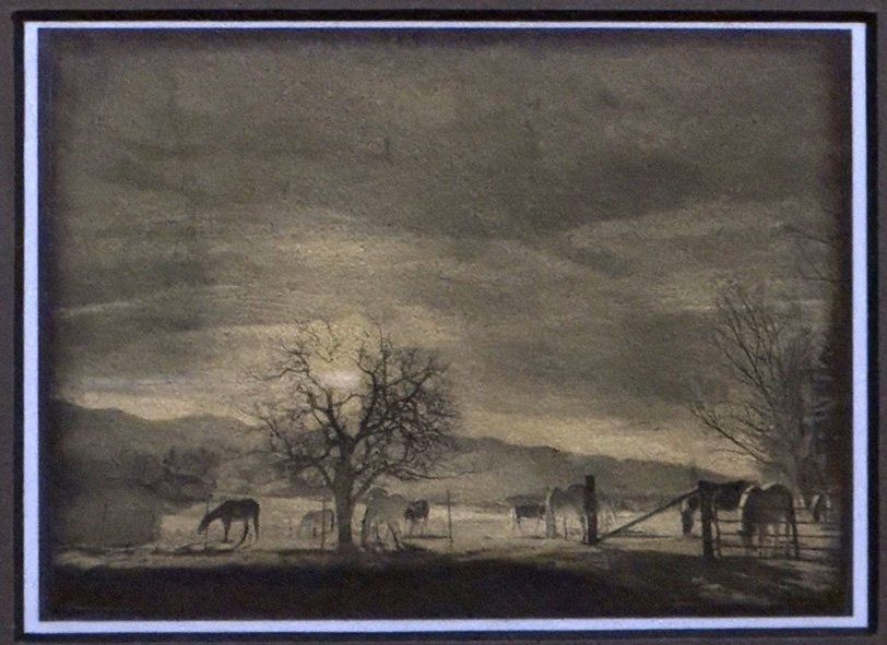 Horses, Late Light