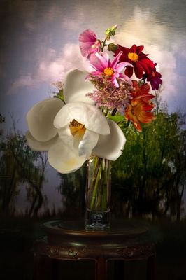 Magnolia and Clouds
