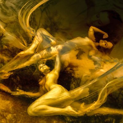 Languid