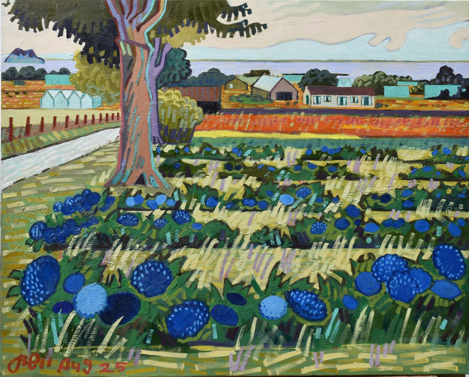 Hydrangea Farm, Harbor, OR, 2025 #2