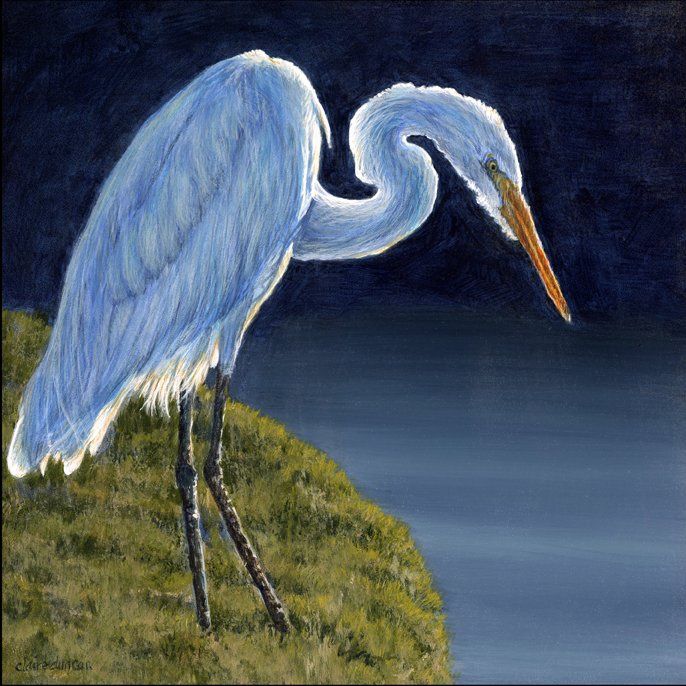 Reprieve: Great Egret