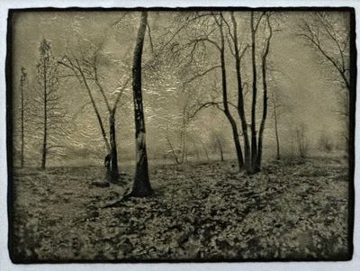 Remnants &amp; Ash