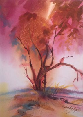 Red Shank Tree