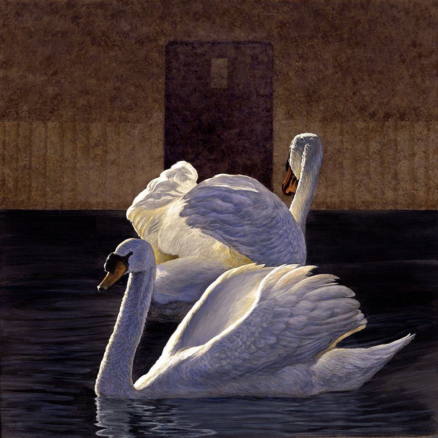 Tender Calm
