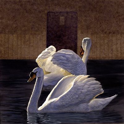 Tender Calm