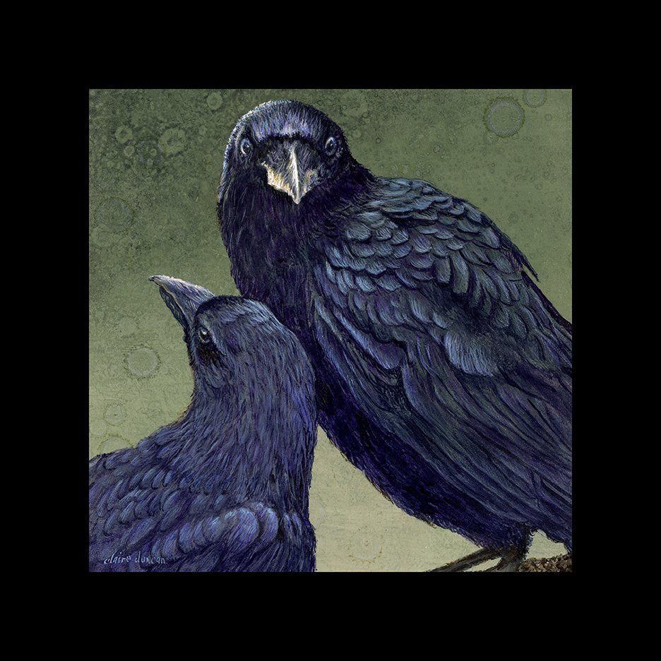 Mutuality: American Crows