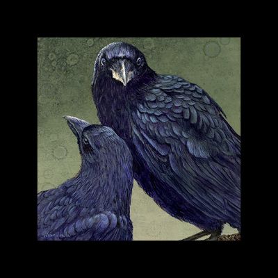 Mutuality: American Crows