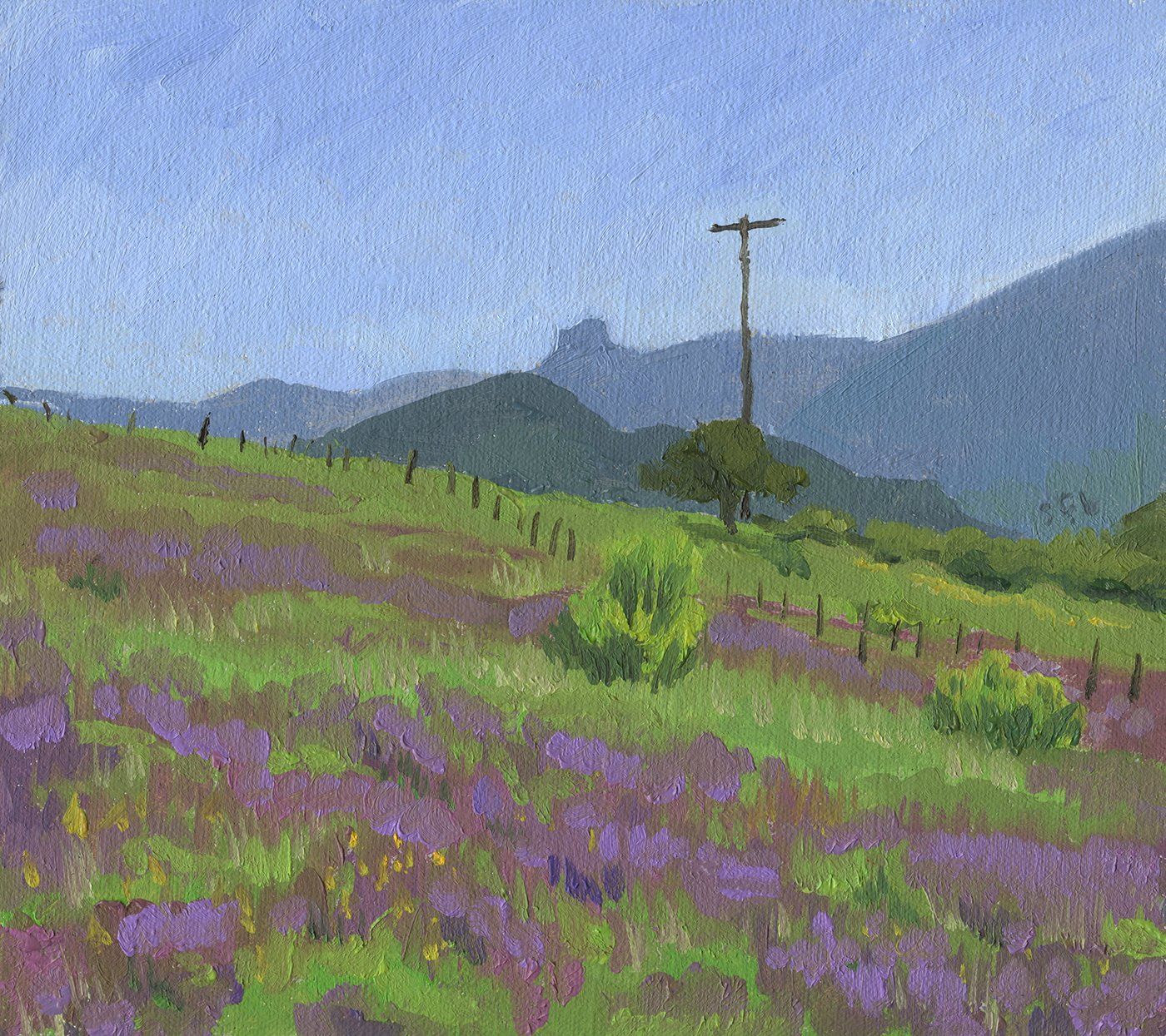 Pilot Rock, Spring