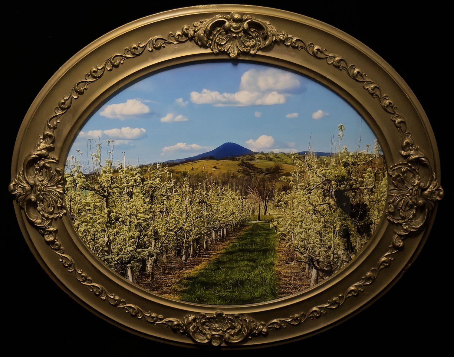 Orchard View of RoxyAnn