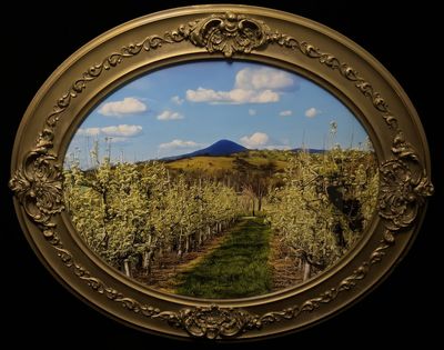 Orchard View of RoxyAnn