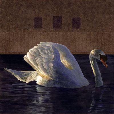 Tender Silence