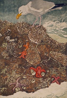 Tidepooling