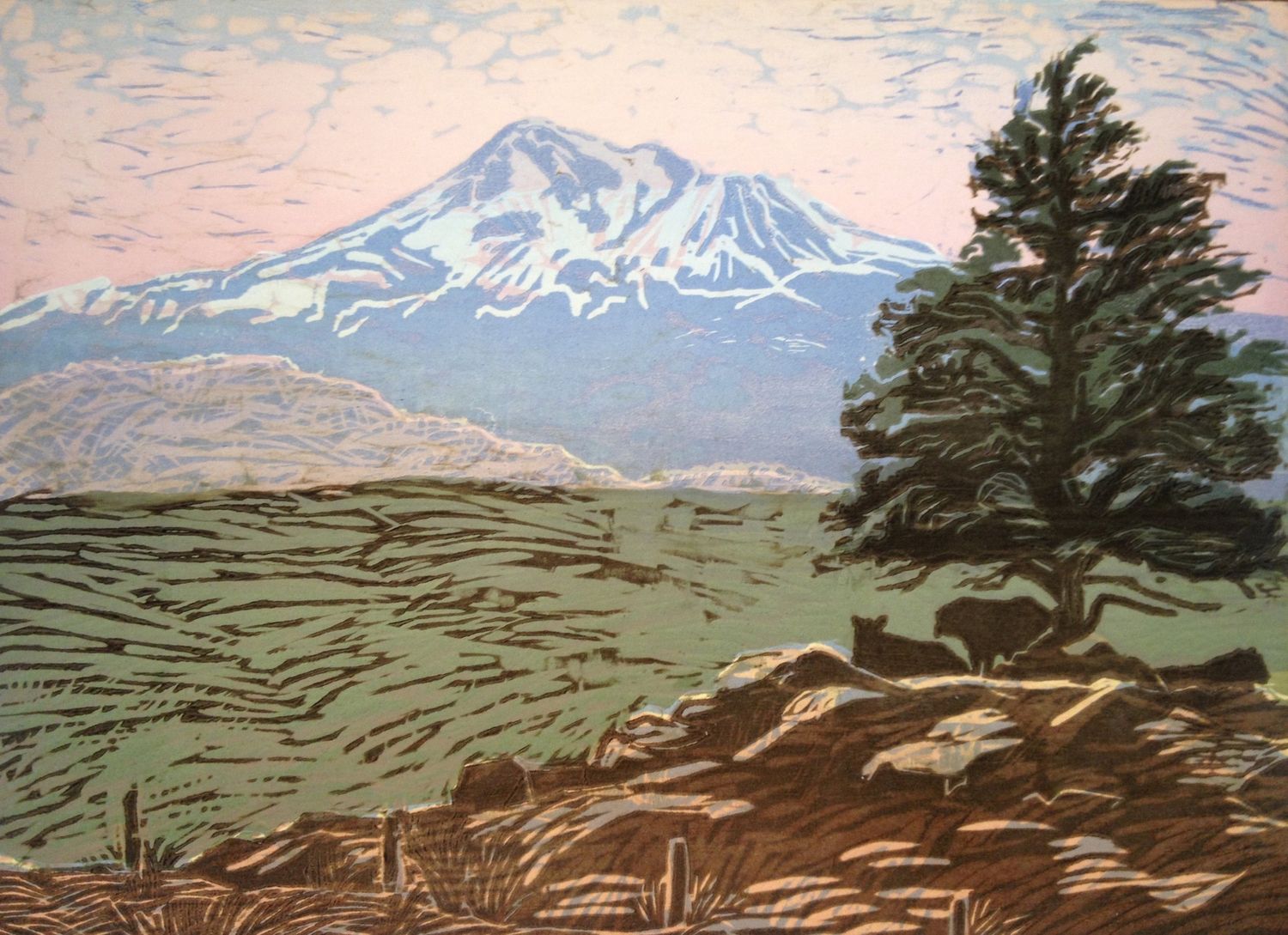 Shasta Valley View