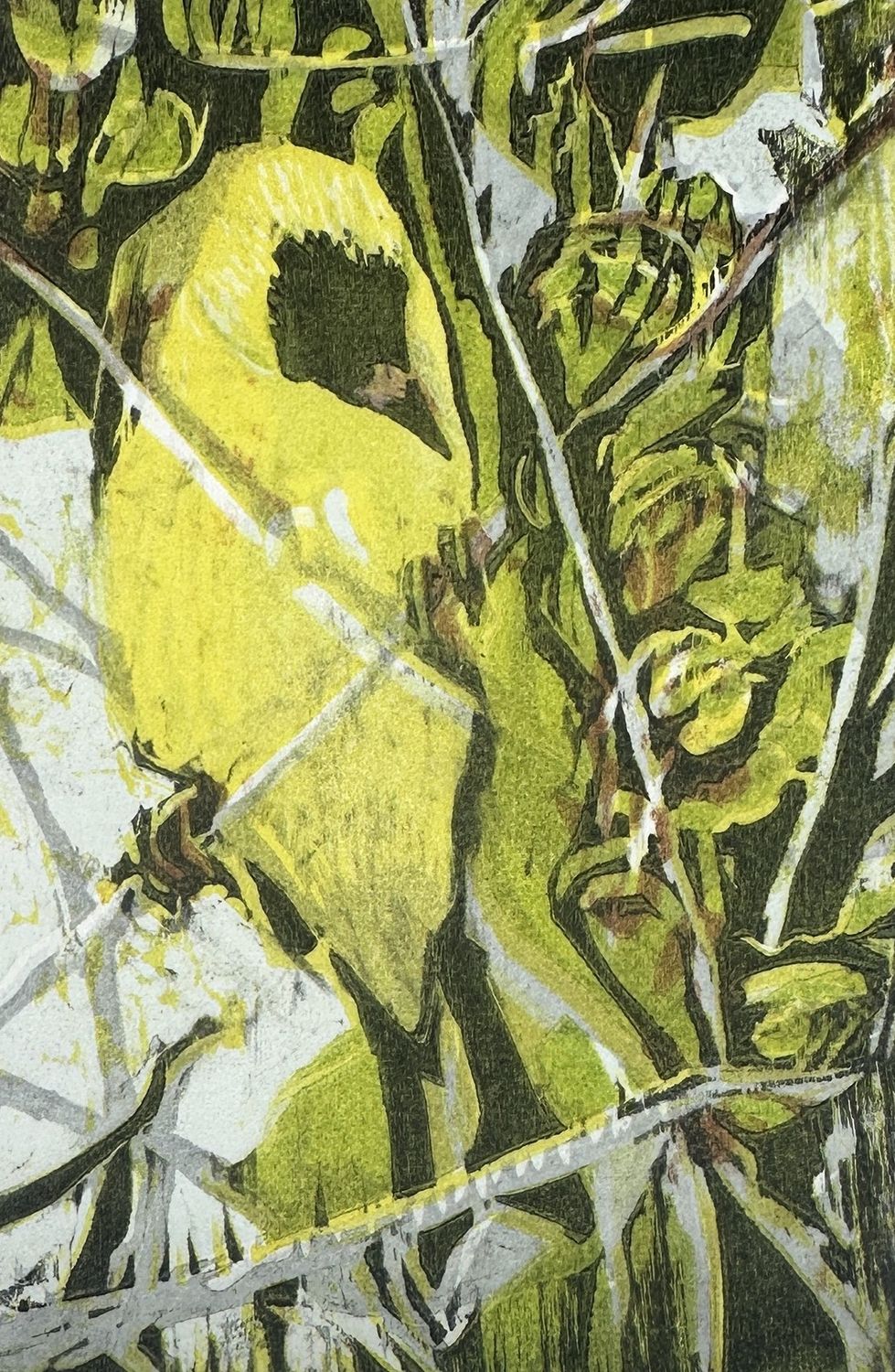Spring Goldfinch
