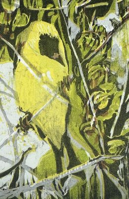 Spring Goldfinch