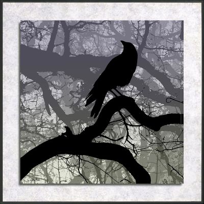 Sheltered Appraisal