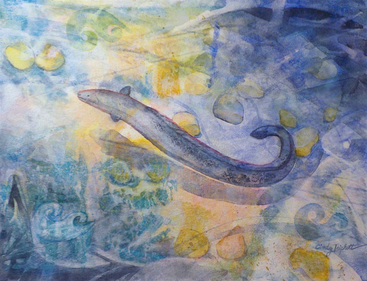 The Young One, tuna kuwharuwharu (longfin eel)