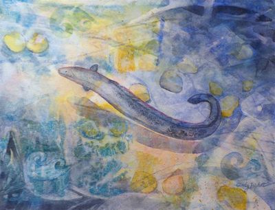 The Young One, tuna kuwharuwharu (longfin eel)