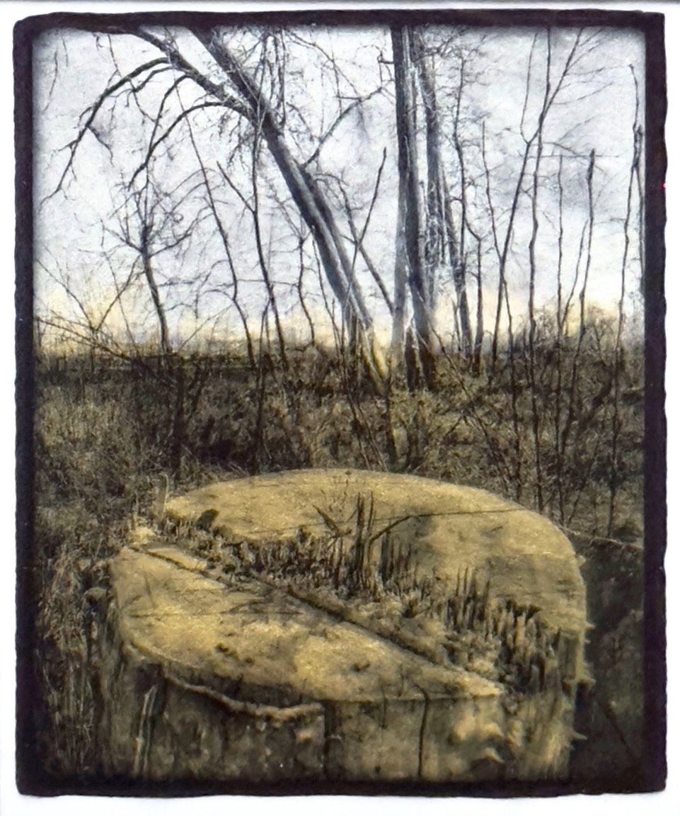 Stump at Bear Creek