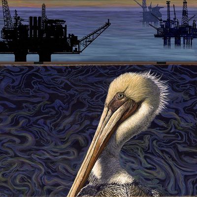 Watchmen: Brown Pelican 2