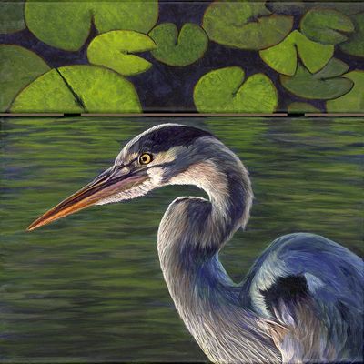 Watchmen: Great Blue Heron