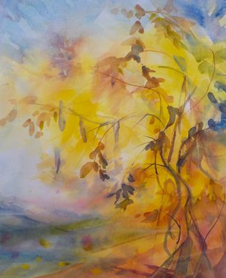 Wisteria in November