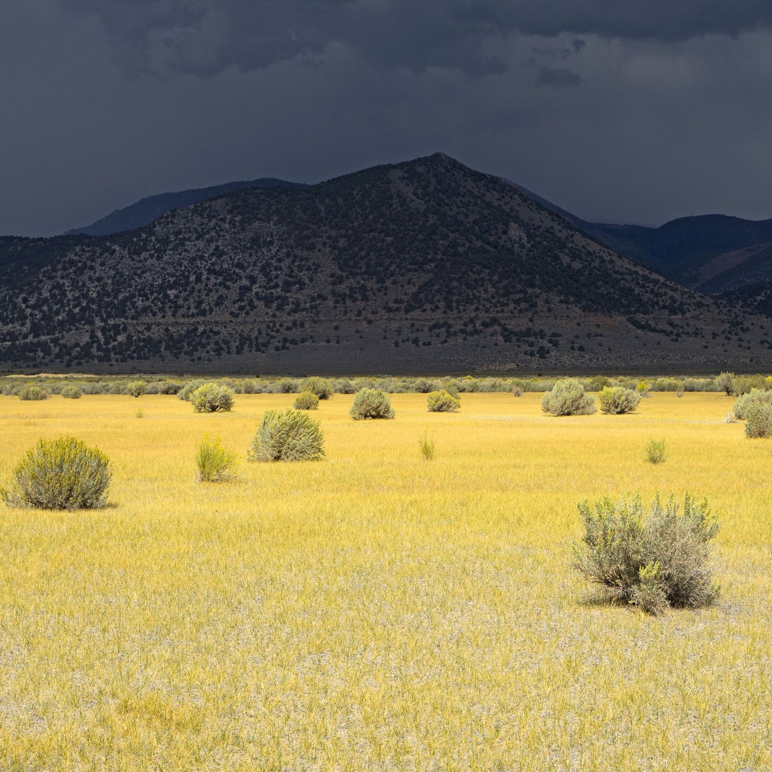 Approaching Storm, Eastern Sierra