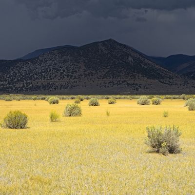 Approaching Storm, Eastern Sierra