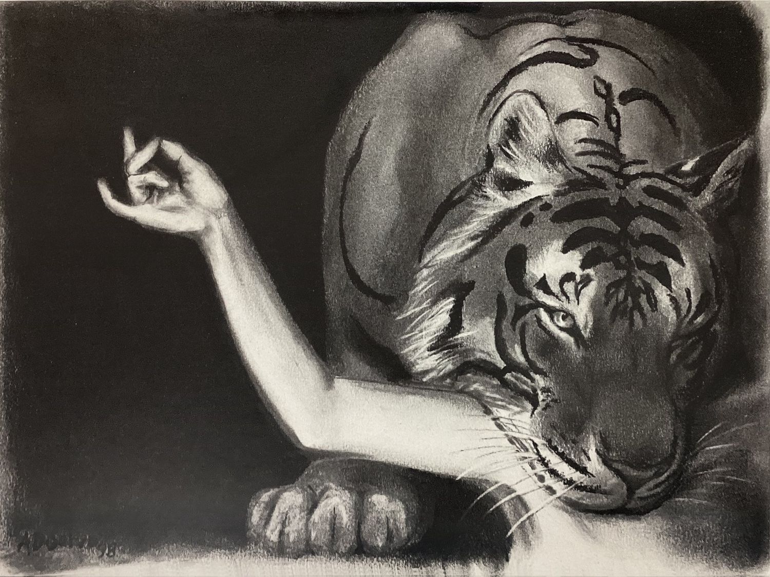 Year of the Tiger: Shiva