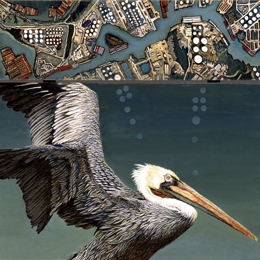 Watchmen: Brown Pelican