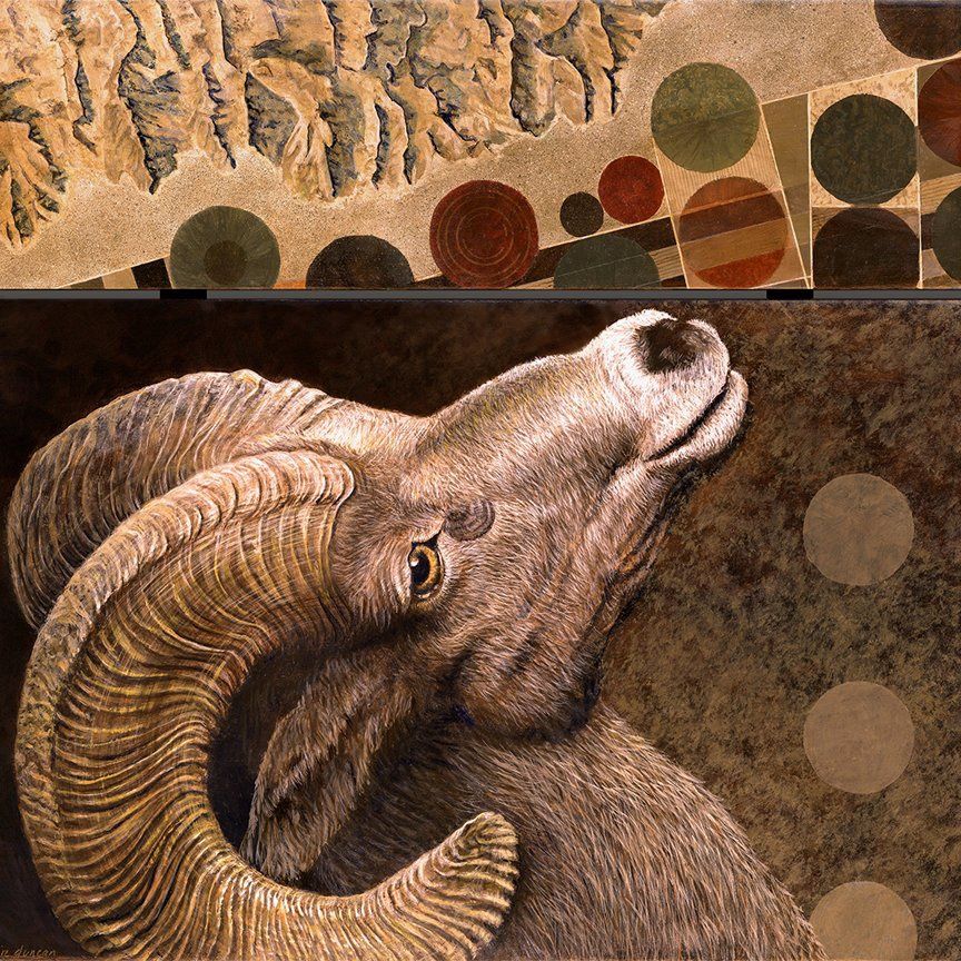 Watchmen: Desert Bighorn Sheep