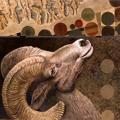 Watchmen: Desert Bighorn Sheep