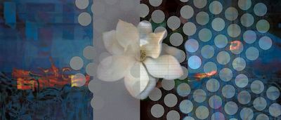 Triptychs CBC No. 12