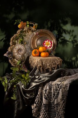 Ammonite and Persimmons