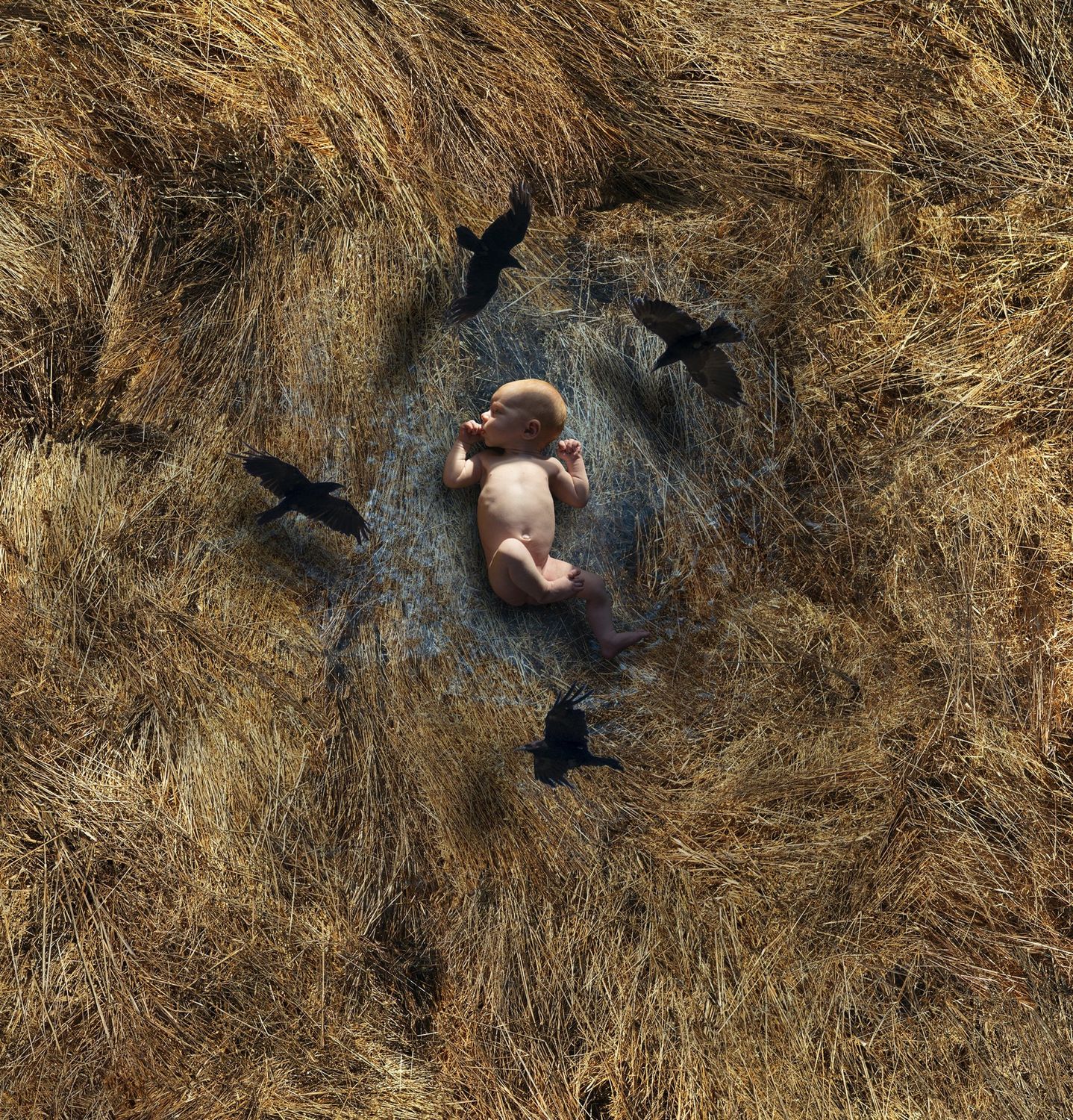 Where Babies Come From