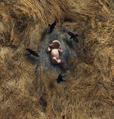 Where Babies Come From
