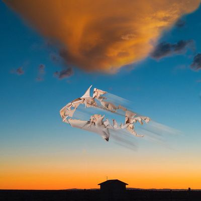 The Fishy Origin of Dreams (from the Singularity Series)