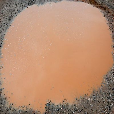 The Puddle