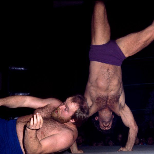 The Wrestlers
